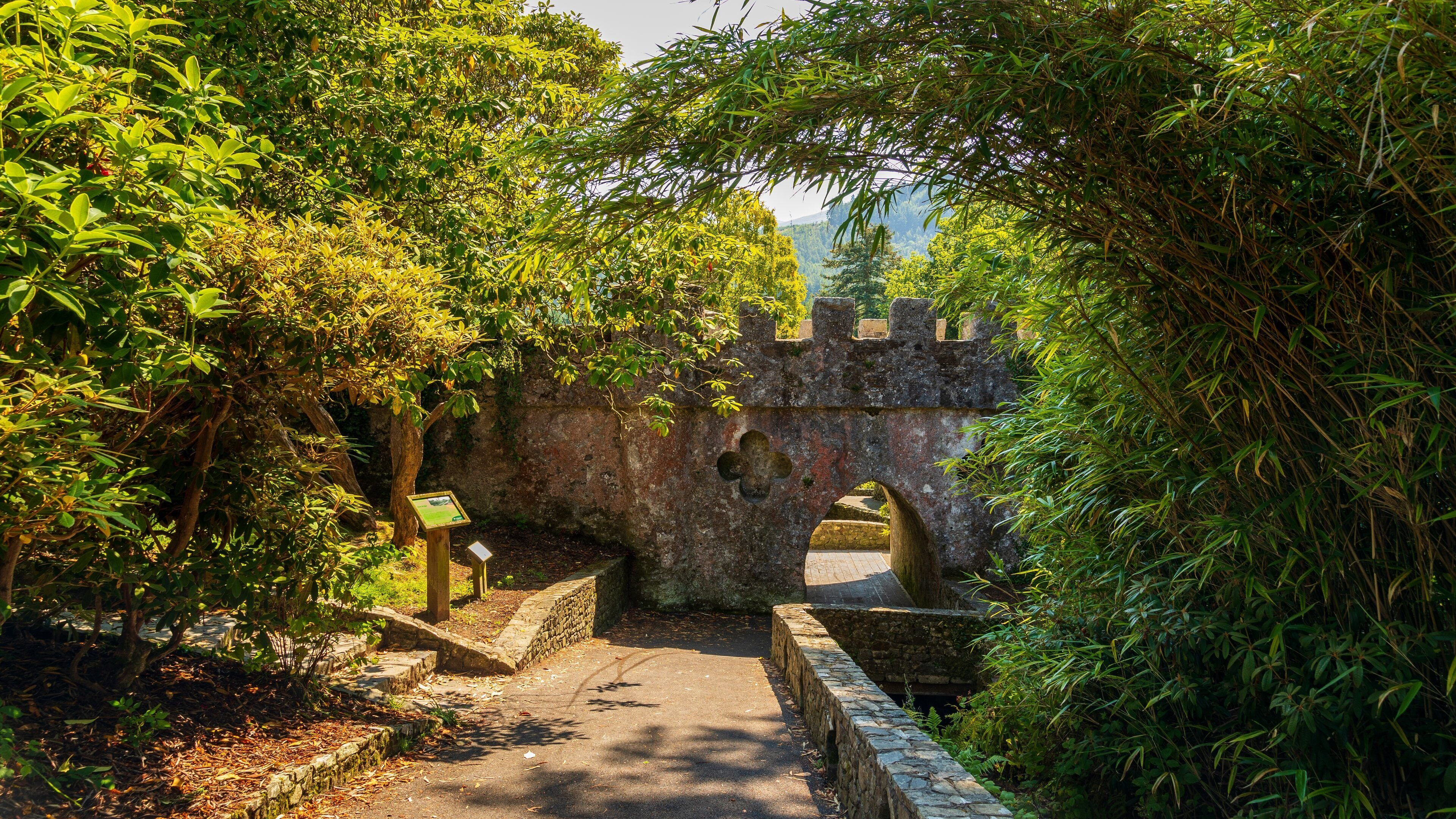 Specific issues support - woodland path